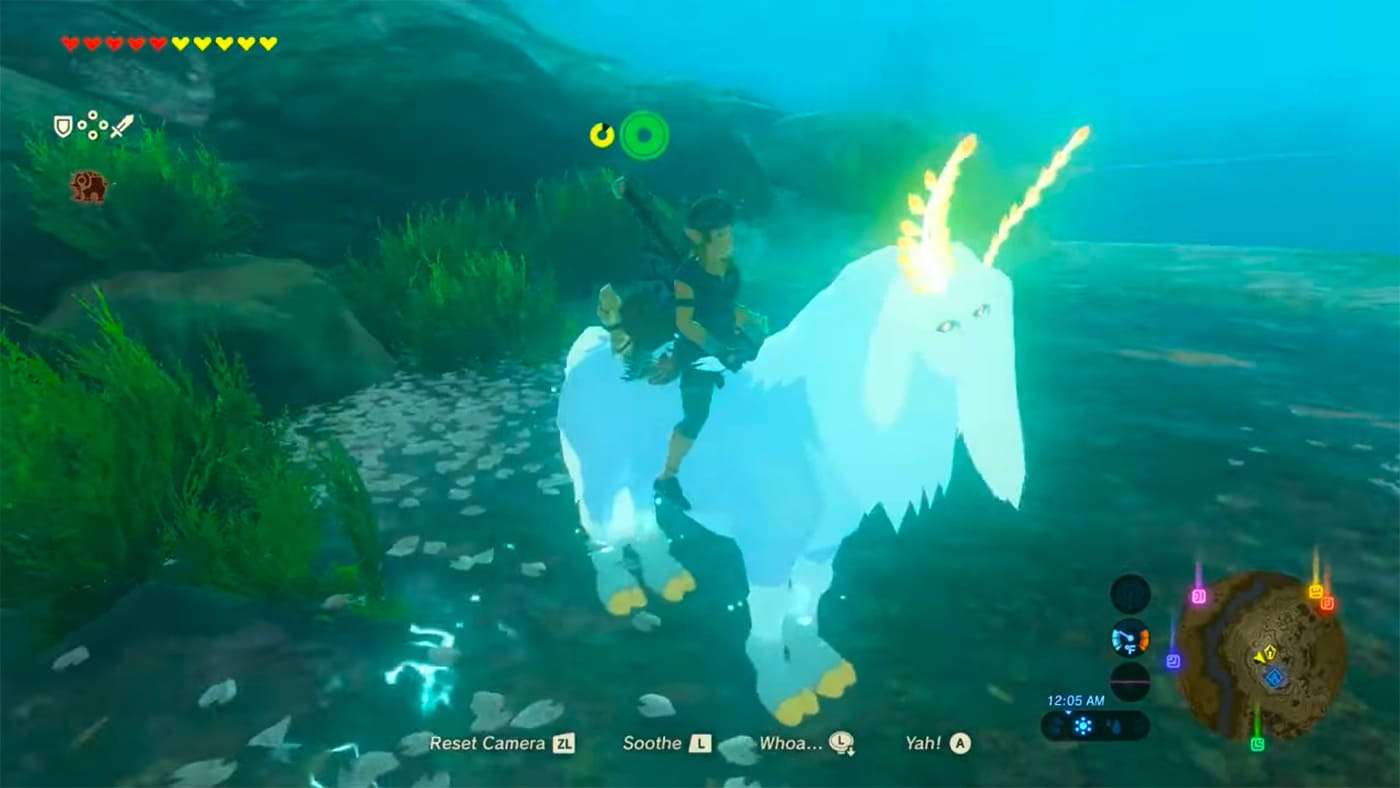 Zelda Lord of the Mountain tame