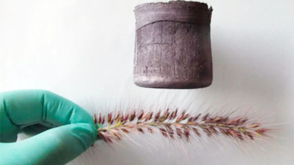 Graphene aerogel: the lightest material on earth – digital masta